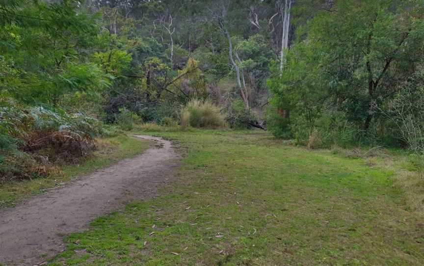 Halfway Point picnic area, Lindfield, NSW