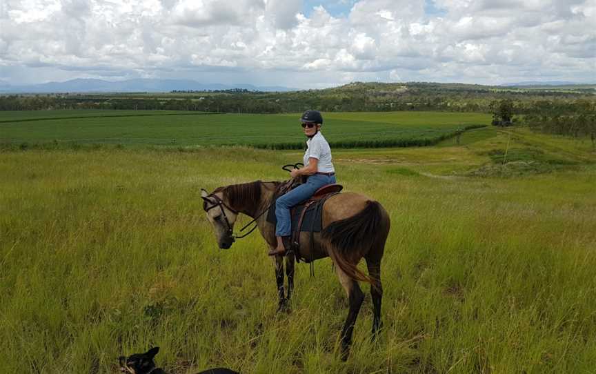 Hann Tableland National Park, Paddys Green, QLD