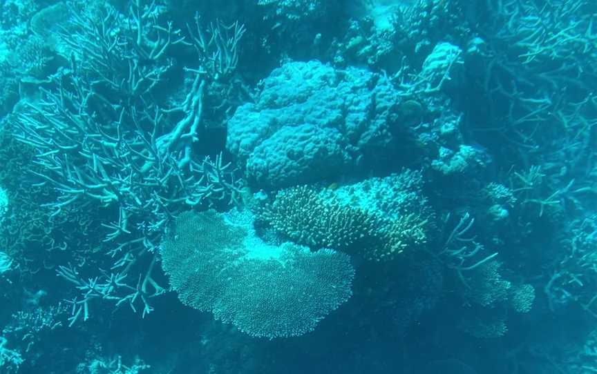 Hardy Reef, Whitsundays, QLD