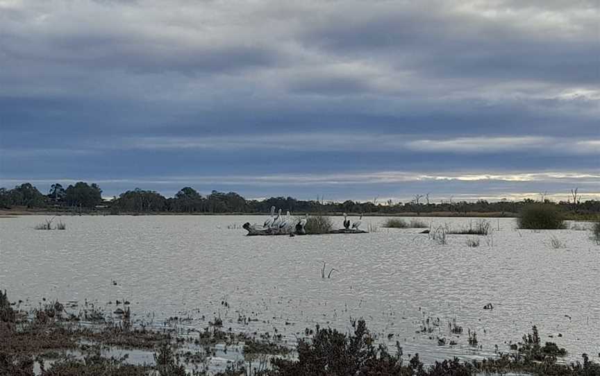 Hart Lagoon Walking Trail, Waikerie, SA