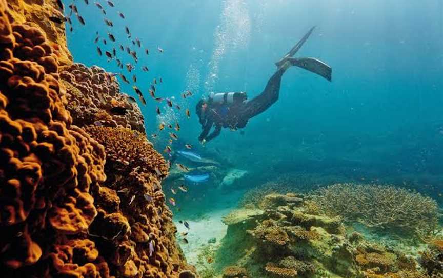 Heart Reef, Nature & Trails in Whitsundays