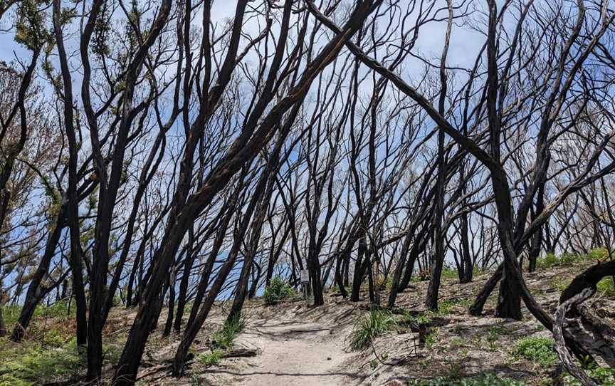 Henry Head Walking Track, La Perouse, NSW