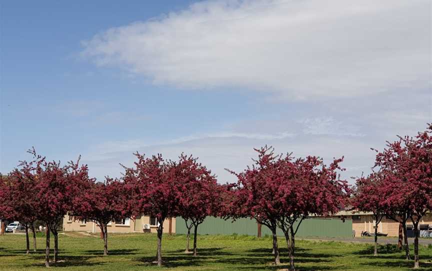 Heritage Park, Blayney, NSW