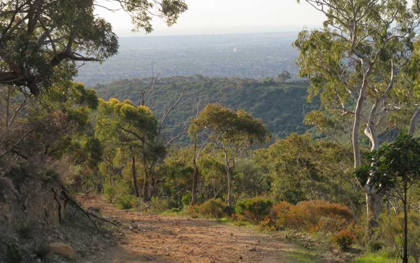 Horsnell Gully and Giles Conservation Parks, Horsnell Gully, SA