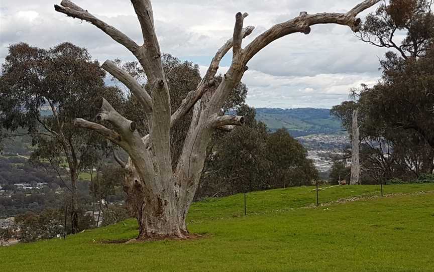 Huon Hill Parklands, Bandiana, VIC