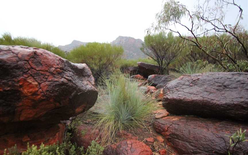 Ikara-Flinders Ranges National Park, Blinman, SA