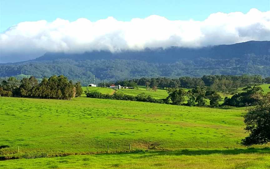 Jamberoo Mountain Road, Jamberoo, NSW