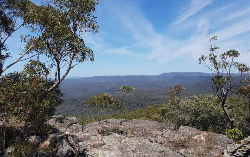 Jerrawangala National Park, Jerrawangala, NSW