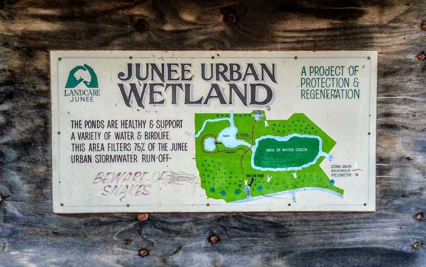 Junee Urban Wetland, Junee, NSW