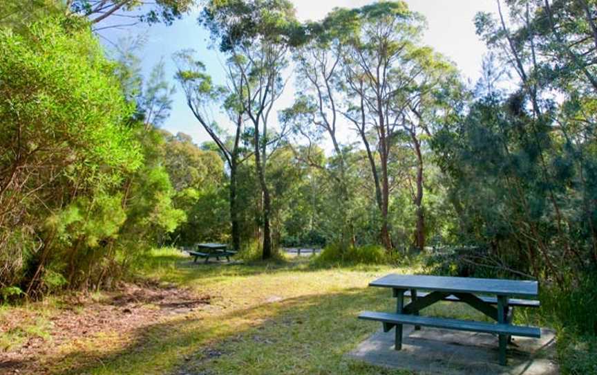 Kellys Falls picnic area, Stanwell Tops, NSW