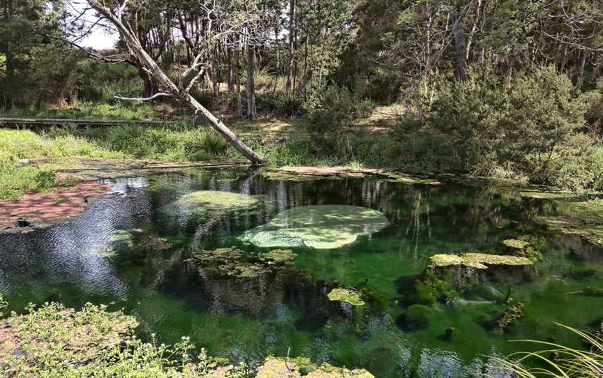 Kimberley Warm Springs, Kimberley, TAS