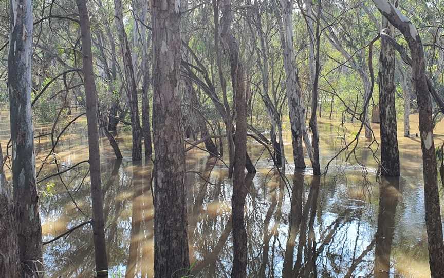 King River, King Valley, VIC