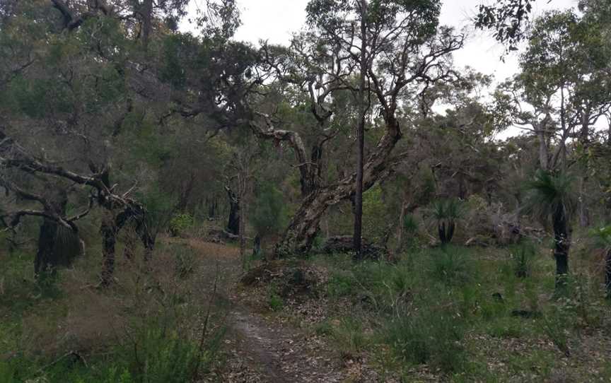 Kondil Park Recreation Area, Barrabup, WA