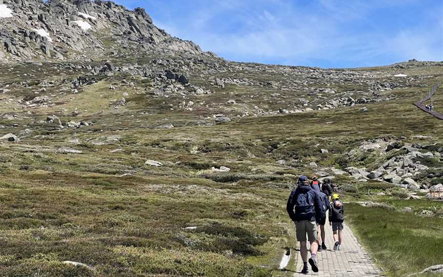 Kosciuszko Walk - Thredbo to Mount Kosciuszko, Thredbo, NSW