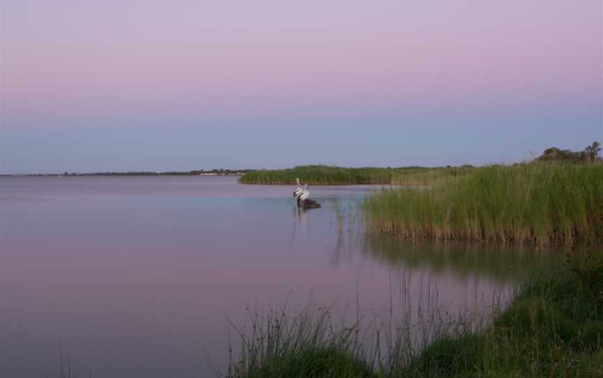 Lake Albert, Lake Albert, NSW