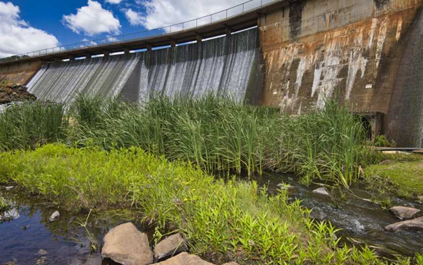 Lake Canobolas Reserve, Nashdale, NSW