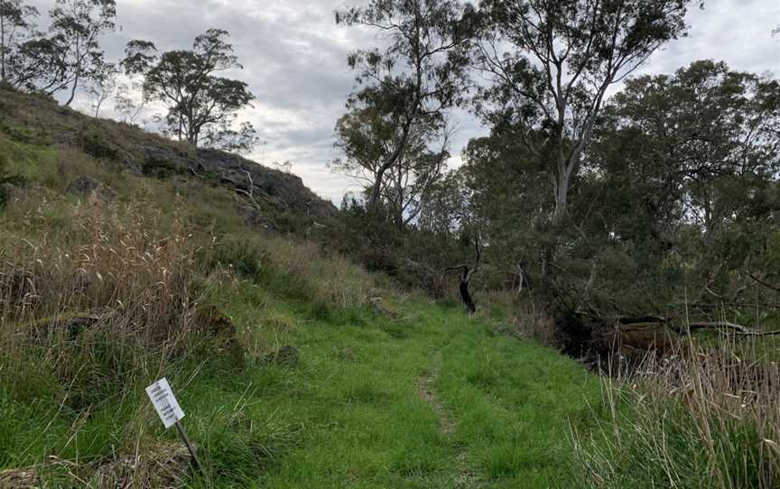 Limestone Cliffs Walk, Joanna, SA