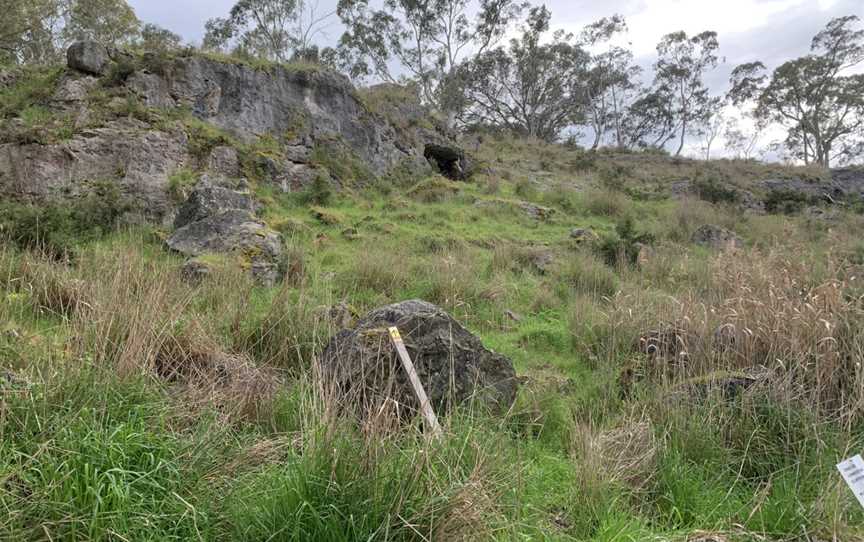 Limestone Cliffs Walk, Joanna, SA