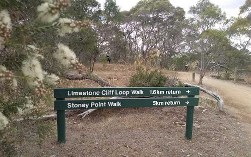 Limestone Cliffs Walk, Joanna, SA