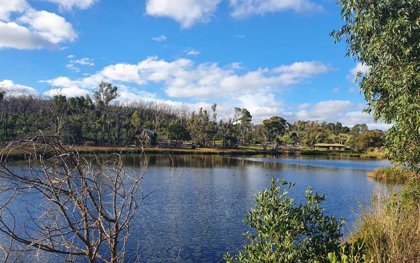 Lobethal Bushland Park, Lobethal, SA