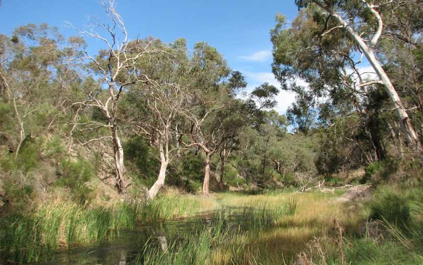 Long Forest Flora and Fauna Reserve, Merrimu, VIC