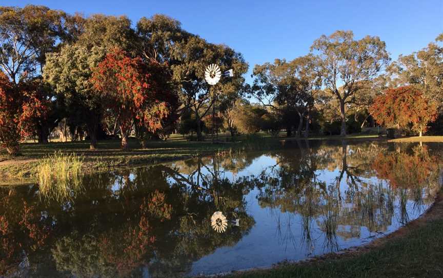 Lucindale Recreation Reserve, Lucindale, SA