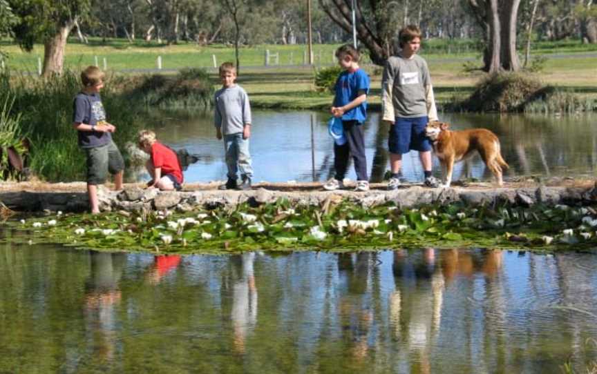 Lucindale Recreation Reserve, Lucindale, SA