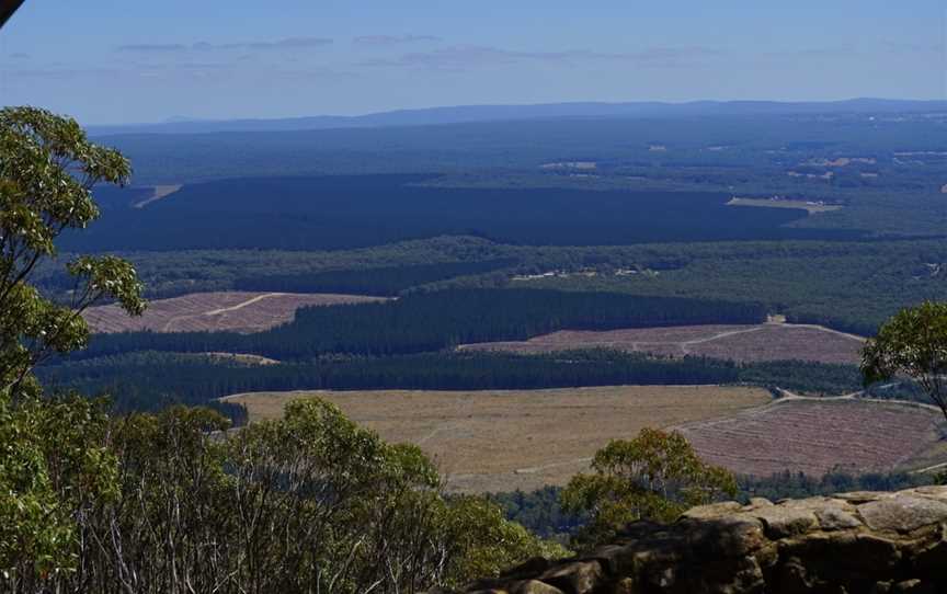 Macedon Regional Park, Mount Macedon, VIC