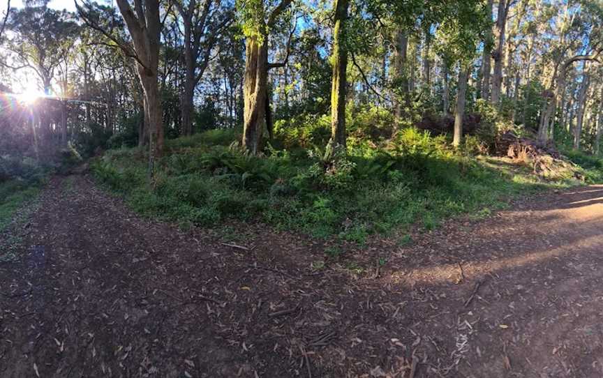 Macedon Regional Park, Mount Macedon, VIC