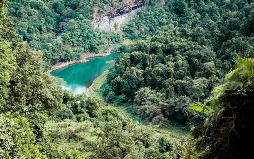 Mamu Tropical Skywalk, Nature & Trails in East Palmerston