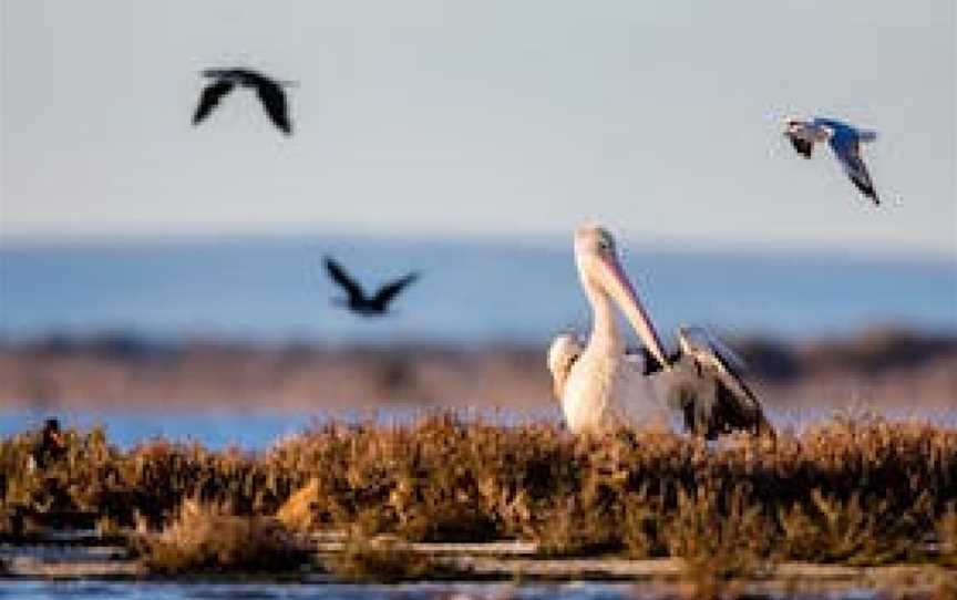 Mandurah Estuary and Peel Inlet, Erskine, WA