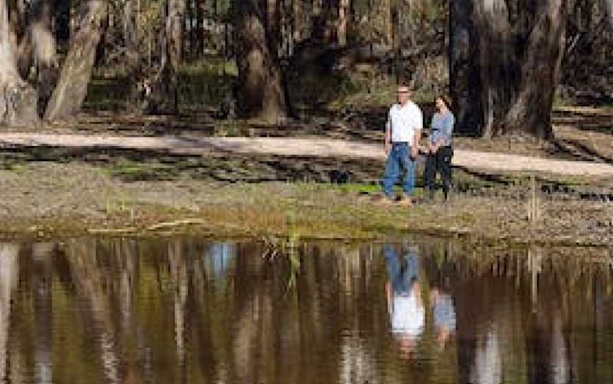 McCaugheys Lagoon, Yanco, NSW