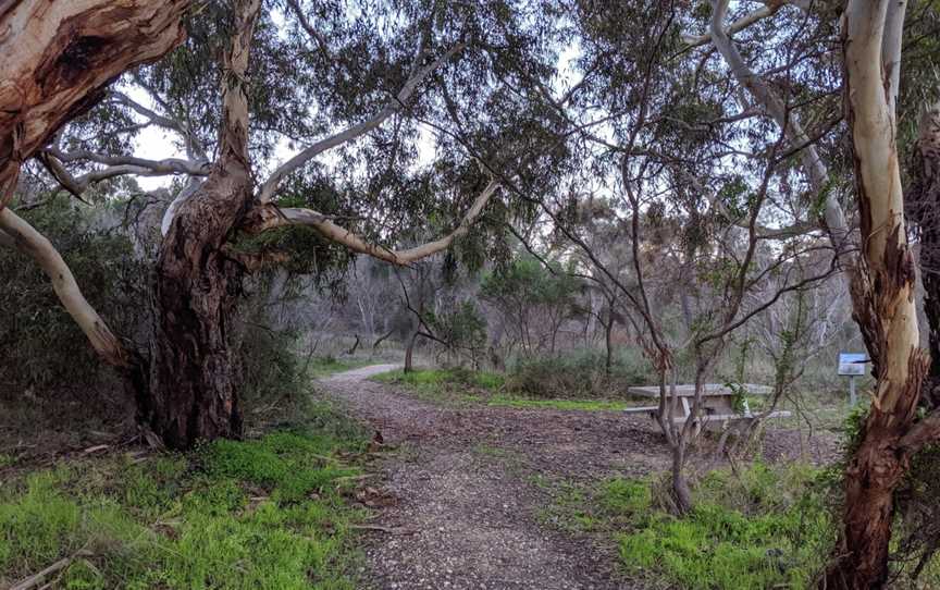 Meningie Lions Walking Trail, Meningie, SA