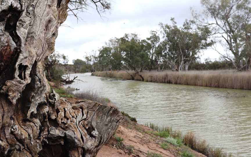 Milich's Landing and Daisy Bates Reserve, Pyap, SA