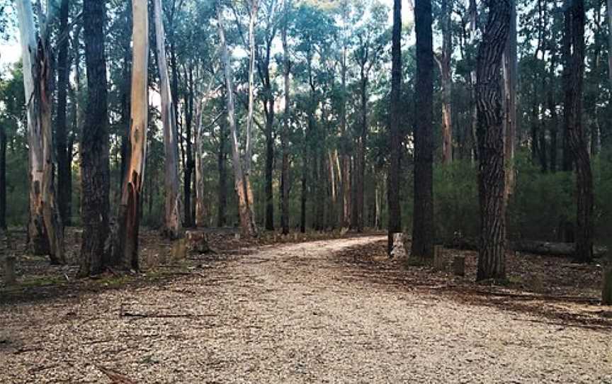 Moggs Creek Picnic Area, Moggs Creek, VIC