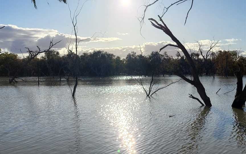 Morton Boulka picnic area, Sunset Strip, NSW