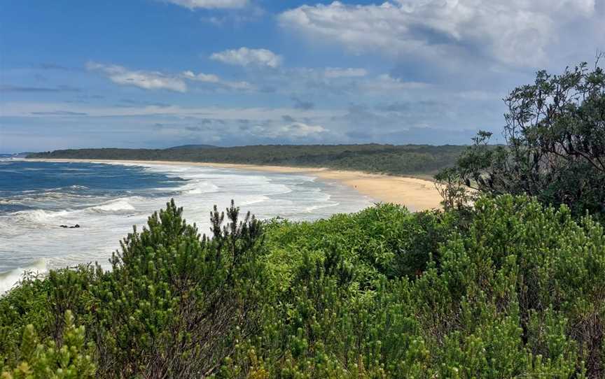 Moruya Kayaking Trail - West, Moruya, NSW