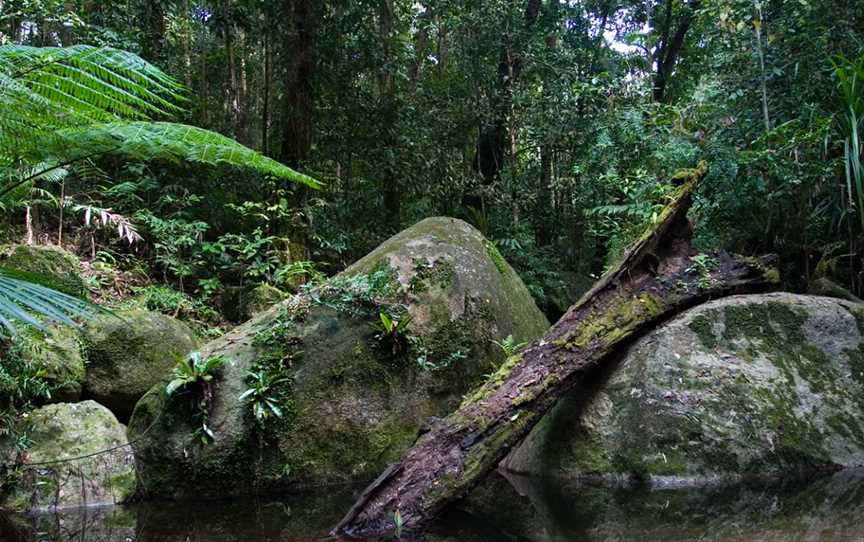 Mossman Gorge, Daintree National Park, Mossman, QLD