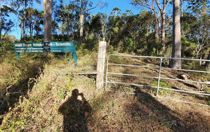 Mount Bauple National Park, Bauple, QLD