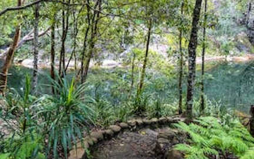 Mount Boss State Forest, Kippara, NSW