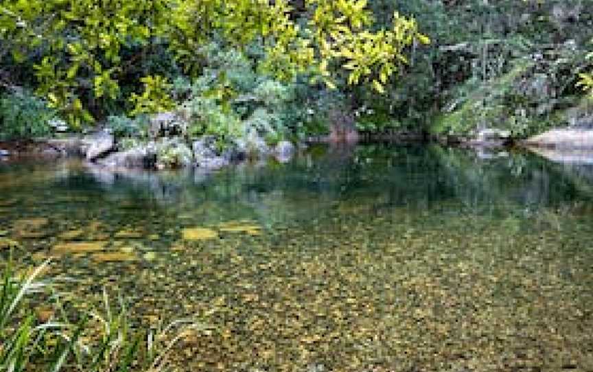 Mount Boss State Forest, Kippara, NSW