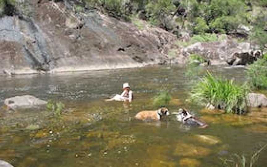 Mount Boss State Forest, Kippara, NSW