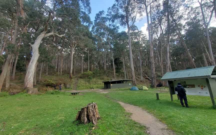 Mount Cole State Forest, Mount Cole, VIC