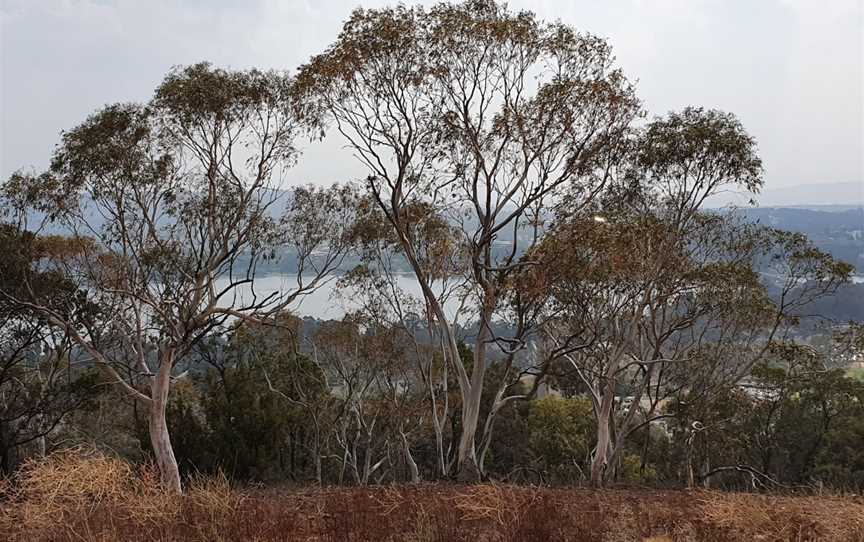 Mount Pleasant Lookout, Campbell, ACT