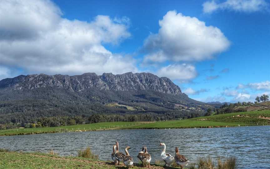 Mount Roland, Mount Roland, TAS