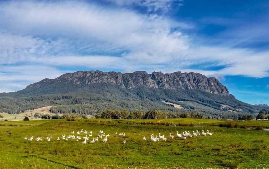 Mount Roland, Mount Roland, TAS