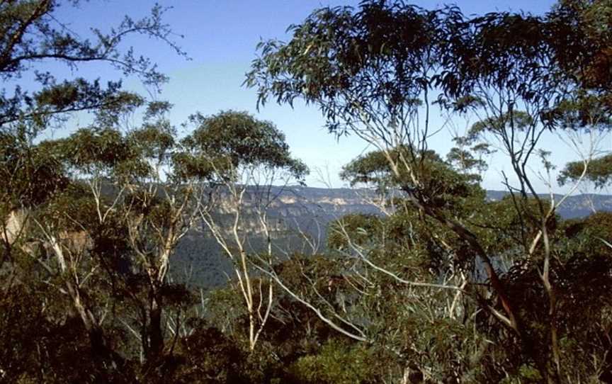 Mount Solitary walking track, Megalong Valley, NSW