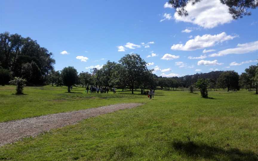 Mount Wilson and Mount Irvine, Mount Wilson, NSW