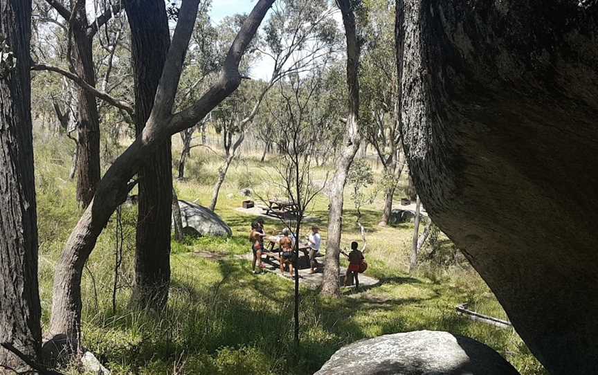 Mount Yarrowyck Nature Reserve, Yarrowyck, NSW