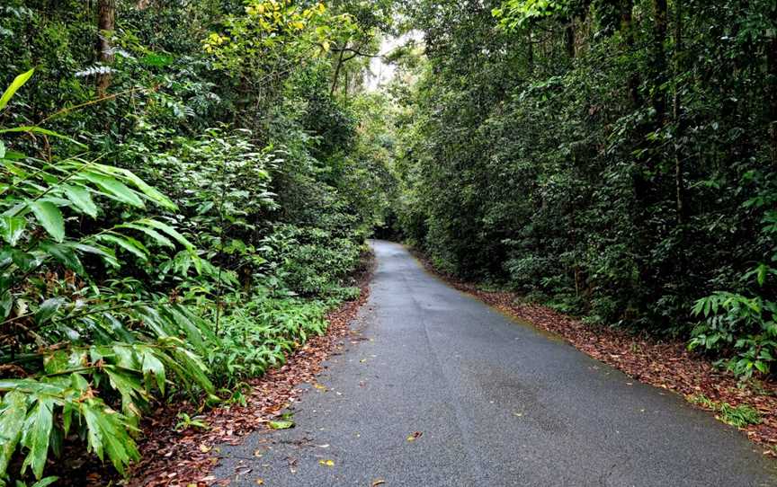 Mt Hypipamee, Upper Barron, QLD